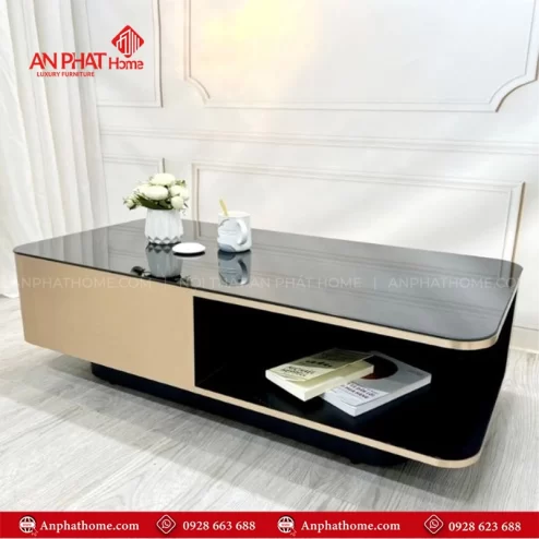 Ban tra mat kinh cao cap hien dai B 2986 4