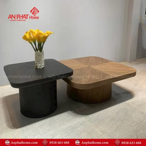 Bàn trà vuông gỗ hiện đại giá rẻ B-2928 An Phát Home