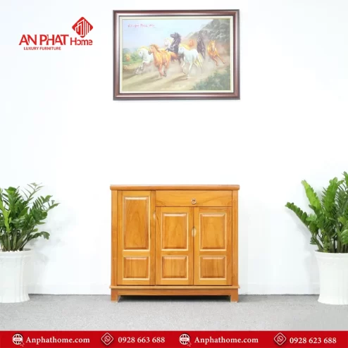 Tủ giày thông minh hiện đại T-5511 An Phát Home